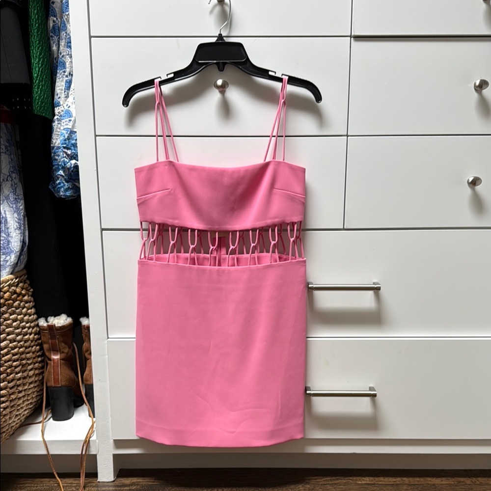 Intermix Alexis Bold Pink Fringe Dress